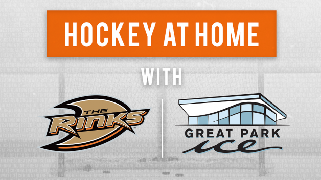 rinks-hockey_at_home