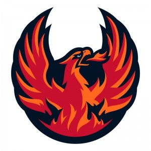 cv_firebirds_logo